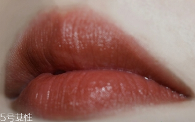 歐萊雅金管口紅839是什么顏色 歐萊雅金管口紅839試色 歐萊雅金管口紅839是什么顏色 歐萊雅金管口紅839試色