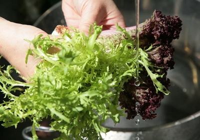 圣誕節(jié)吃什么傳統(tǒng)食物 8人份大餐菜單 圣誕節(jié)吃什么傳統(tǒng)食物 8人份大餐菜單