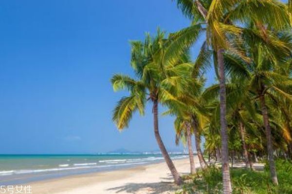 冬天適合去哪里旅游 滑雪溫泉一個都不能少 冬天適合去哪里旅游 滑雪溫泉一個都不能少