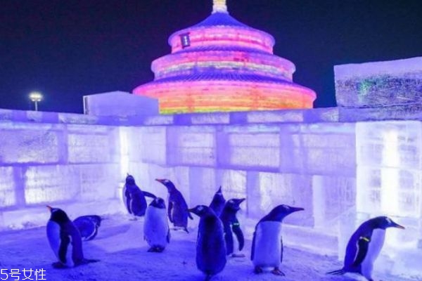 冬天適合去哪里旅游 滑雪溫泉一個都不能少 冬天適合去哪里旅游 滑雪溫泉一個都不能少