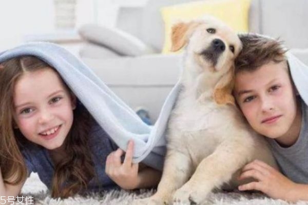 懷孕能養(yǎng)狗嗎 懷孕養(yǎng)狗注意事項 懷孕能養(yǎng)狗嗎 懷孕養(yǎng)狗注意事項