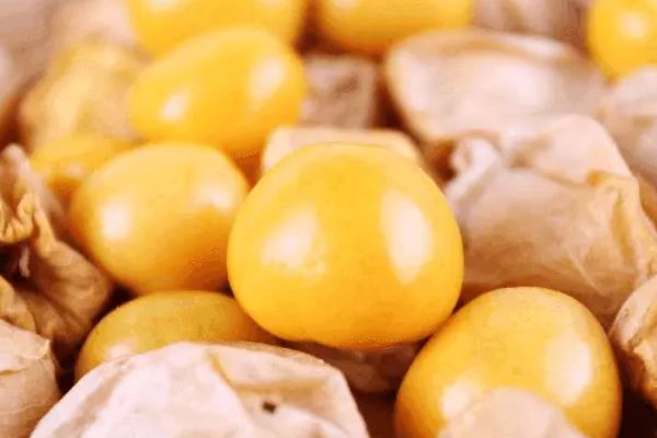 姑娘果泡酒的功效 姑娘果怎么泡酒 姑娘果泡酒的功效 姑娘果怎么泡酒