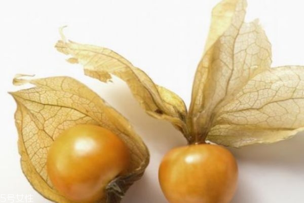 姑娘果的皮能吃嗎 是可以食用的 姑娘果的皮能吃嗎 是可以食用的