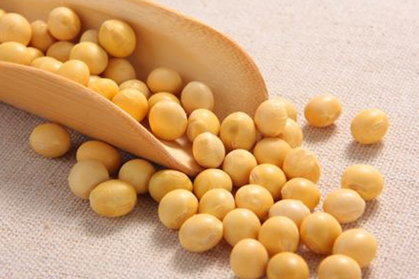 黃豆怎么挑選 黃豆選購注意事項