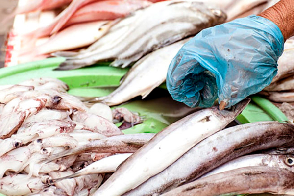 如何判斷三文魚(yú)是否新鮮 三文魚(yú)新鮮判斷方法 如何判斷三文魚(yú)是否新鮮 三文魚(yú)新鮮判斷方法