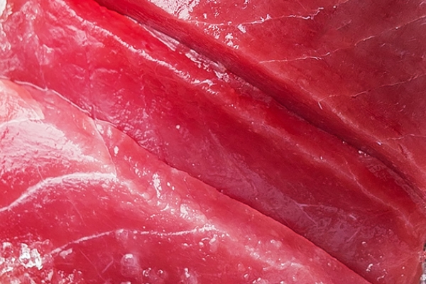 金槍魚是海魚嗎 是美味的海鮮 金槍魚是海魚嗎 是美味的海鮮