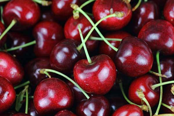 車(chē)?yán)遄宇伾趺刺?車(chē)?yán)遄犹暨x指南 車(chē)?yán)遄宇伾趺刺?車(chē)?yán)遄犹暨x指南