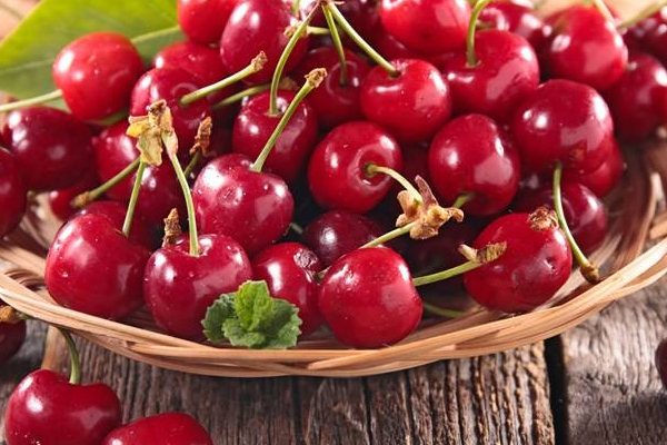 車(chē)?yán)遄宇伾趺刺?車(chē)?yán)遄犹暨x指南 車(chē)?yán)遄宇伾趺刺?車(chē)?yán)遄犹暨x指南