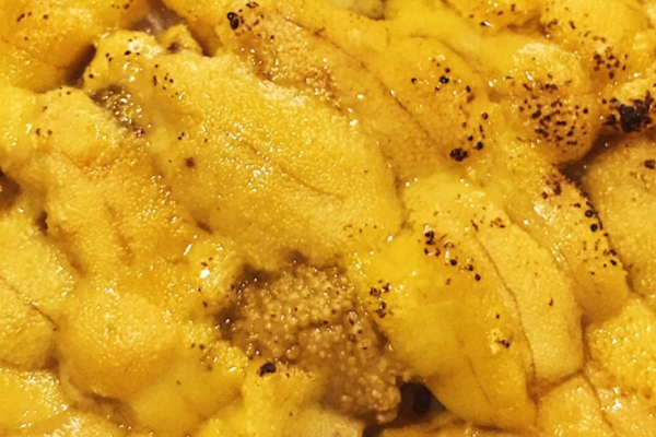 海膽怎么打開 方法很簡(jiǎn)單 海膽怎么打開 方法很簡(jiǎn)單