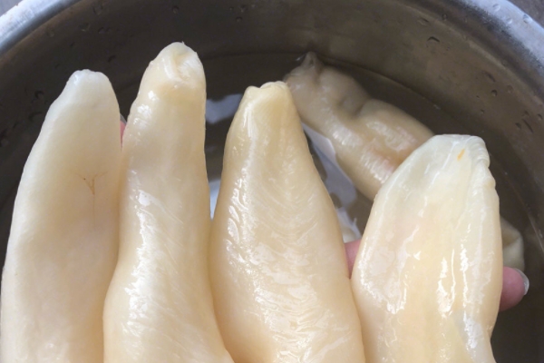 魚(yú)膠小孩可以吃嗎 適量吃可以 魚(yú)膠小孩可以吃嗎 適量吃可以