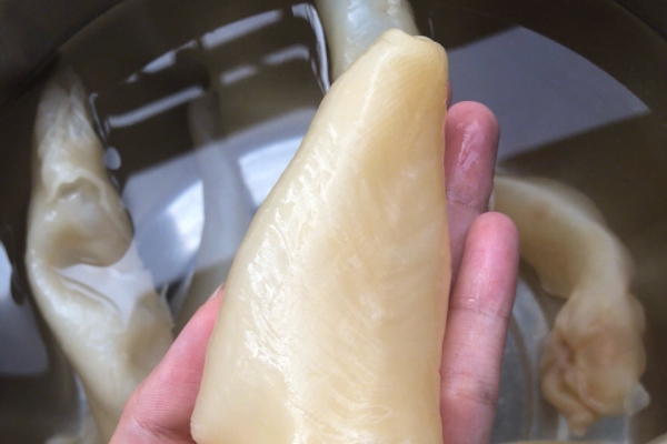 魚膠小孩可以吃嗎 適量吃可以 魚膠小孩可以吃嗎 適量吃可以