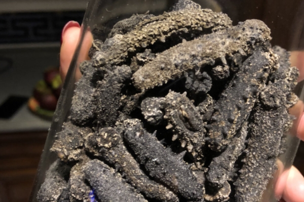 海參為什么會苦 是這個原因 海參為什么會苦 是這個原因