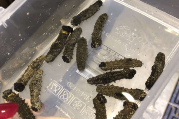 海參為什么會苦 是這個原因 海參為什么會苦 是這個原因