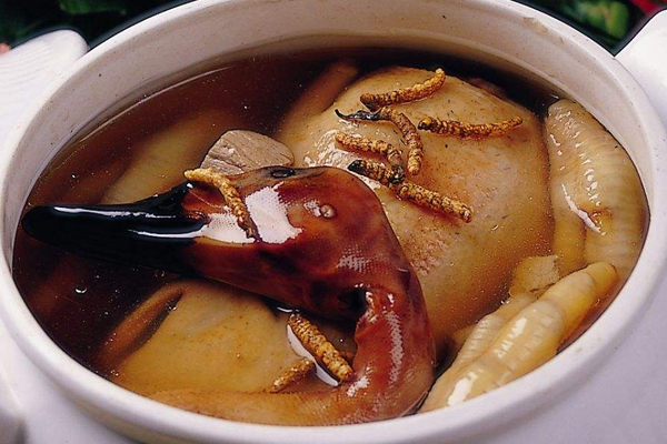 冬蟲夏草怎么看好壞 冬蟲夏草好壞區(qū)別 冬蟲夏草怎么看好壞 冬蟲夏草好壞區(qū)別