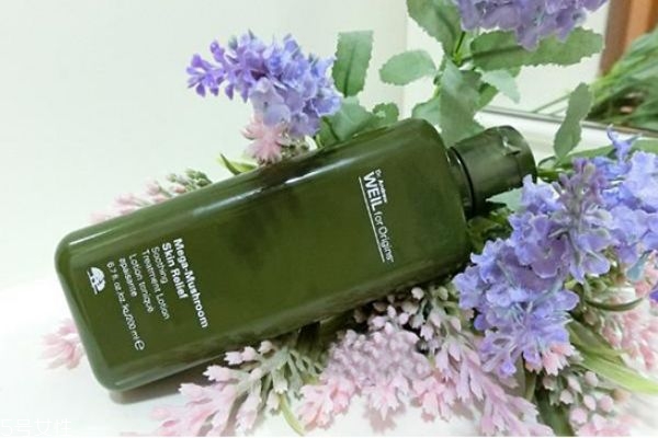 菌菇水可以每天用嗎 菌菇水能不能每天用 菌菇水可以每天用嗎 菌菇水能不能每天用