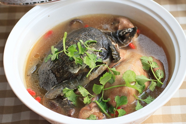 甲魚怎么做 教你做美味甲魚湯 甲魚怎么做 教你做美味甲魚湯