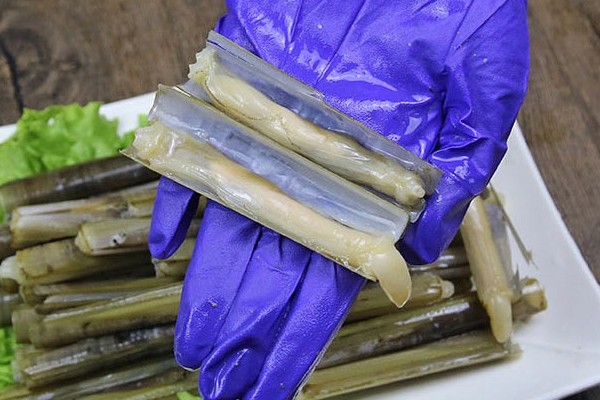 蟶子有寄生蟲嗎 有可能會有 蟶子有寄生蟲嗎 有可能會有