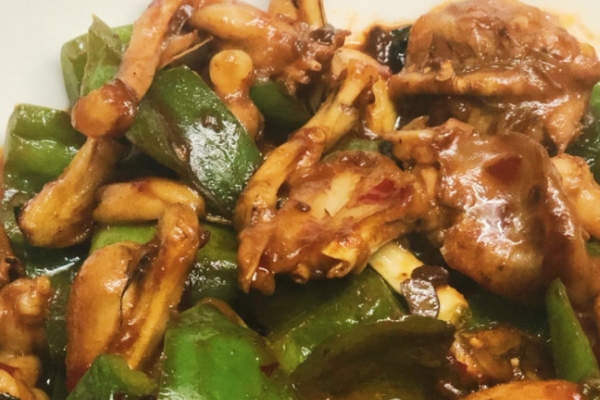 牛蛙有哪些品種 主要是四個(gè)品種