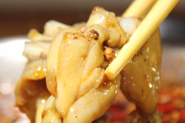 牛蛙有哪些品種 主要是四個(gè)品種