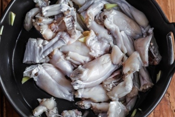 牛蛙會(huì)過(guò)敏嗎 有這個(gè)可能