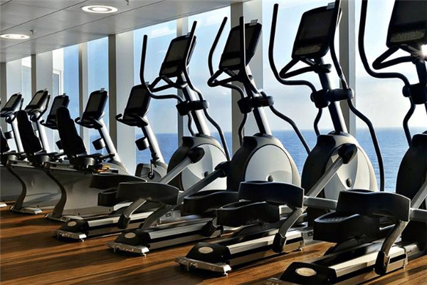 橢圓機(jī)飛輪多重合適 五公斤左右就行了 橢圓機(jī)飛輪多重合適 五公斤左右就行了