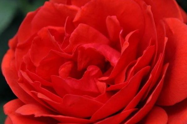 四季養(yǎng)生各有所需各有不同 四季養(yǎng)生各有所需各有不同