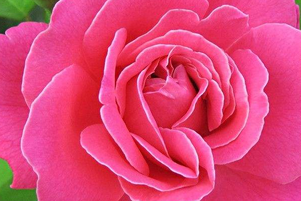 四季養(yǎng)生各有所需各有不同 四季養(yǎng)生各有所需各有不同