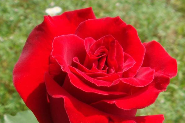 中醫(yī)教你修身養(yǎng)性六字訣 中醫(yī)教你修身養(yǎng)性六字訣