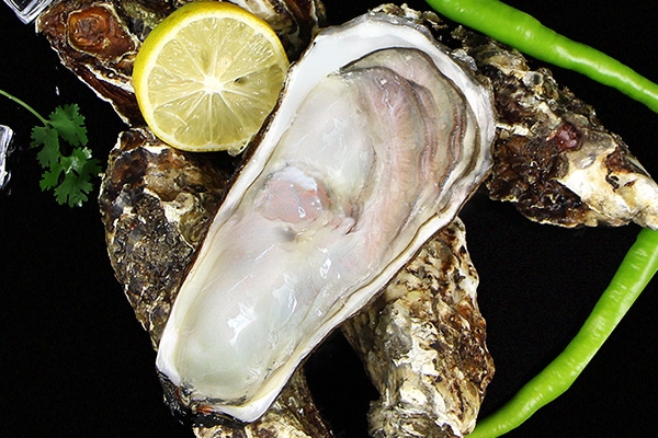 生蠔為什么長在石頭上 生來如此 生蠔為什么長在石頭上 生來如此