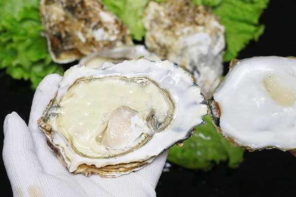 生蠔有屎嗎 這是肯定的 生蠔有屎嗎 這是肯定的