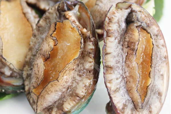 鮑魚為什么沒有眼睛 其實是有的 鮑魚為什么沒有眼睛 其實是有的