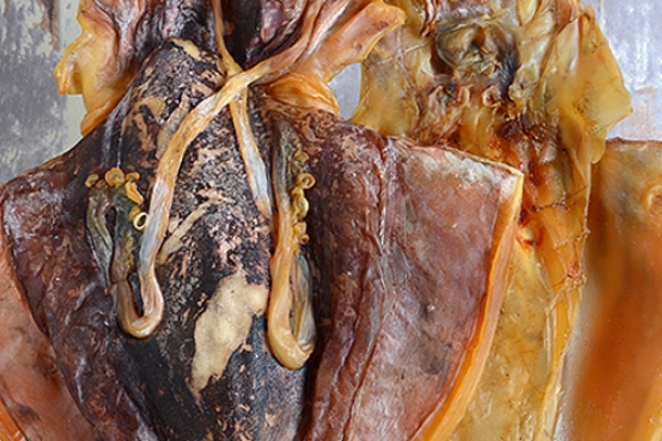 干墨魚燉湯怎么處理 這樣處理最干凈 干墨魚燉湯怎么處理 這樣處理最干凈