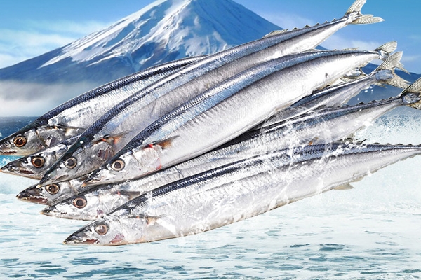 秋刀魚怎么做不腥 這樣處理就好了 秋刀魚怎么做不腥 這樣處理就好了