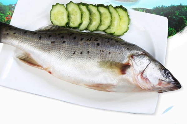 海鱸魚(yú)刺多嗎 屬于刺少的魚(yú)