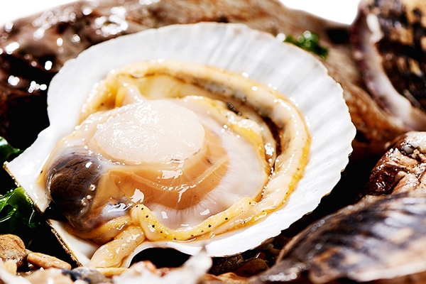 怎樣區(qū)分扇貝是否變質(zhì) 按這個(gè)方法 怎樣區(qū)分扇貝是否變質(zhì) 按這個(gè)方法