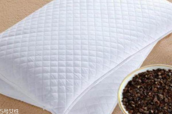 蕎麥枕能洗嗎 蕎麥枕可以治失眠 蕎麥枕能洗嗎 蕎麥枕可以治失眠