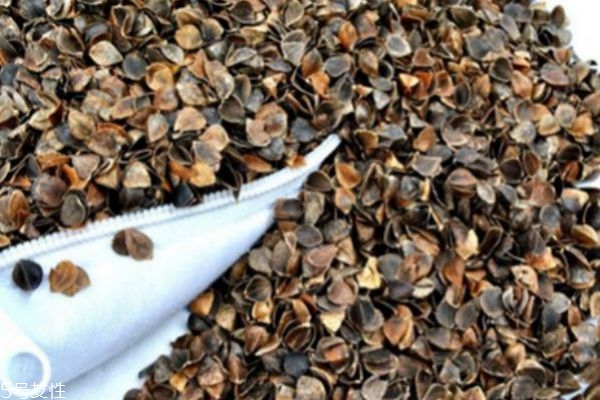 蕎麥枕能洗嗎 蕎麥枕可以治失眠 蕎麥枕能洗嗎 蕎麥枕可以治失眠