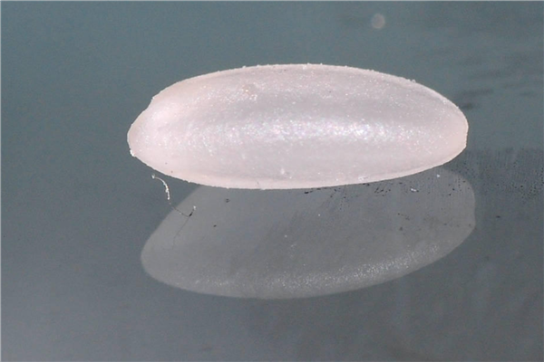 米蟲是怎么長(zhǎng)出來的 其實(shí)卵在米里面