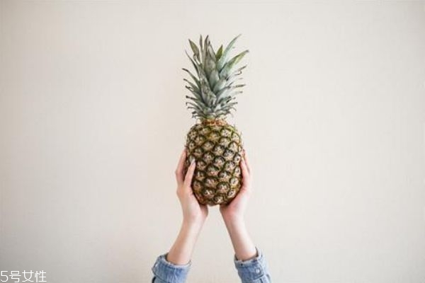 菠蘿是長(zhǎng)在樹上還是地上 菠蘿是熱性還是涼性