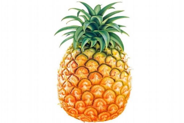 菠蘿怎么吃最好 菠蘿的正確吃法 菠蘿怎么吃最好 菠蘿的正確吃法