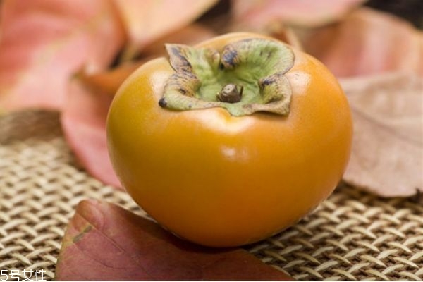 柿子有哪些品種 柿子的品種 柿子有哪些品種 柿子的品種