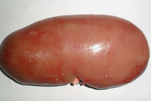 豬腰子可以壯陽(yáng)嗎 沒有這個(gè)作用