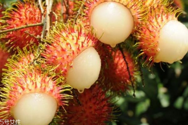 紅毛丹放久了為什么會發(fā)黑 吃紅毛丹需要注意的事項(xiàng)