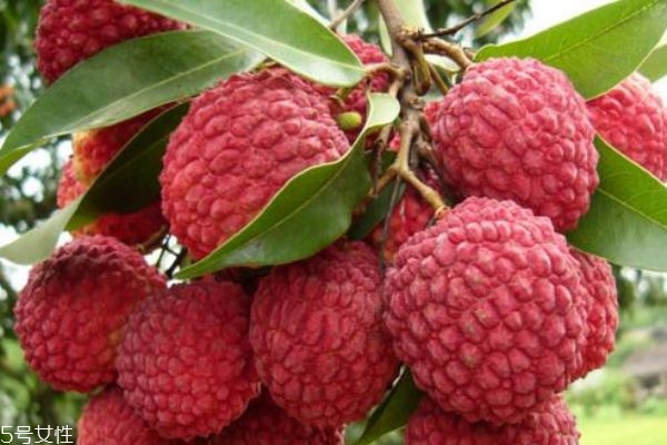 紅毛丹放久了為什么會發(fā)黑 吃紅毛丹需要注意的事項(xiàng)