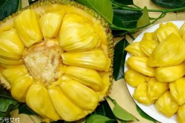 菠蘿蜜不能和什么同吃 菠蘿蜜的食用禁忌 菠蘿蜜不能和什么同吃 菠蘿蜜的食用禁忌