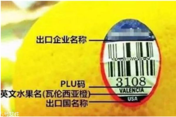 進口水果是真的假的 別買了假的進口水果 進口水果是真的假的 別買了假的進口水果