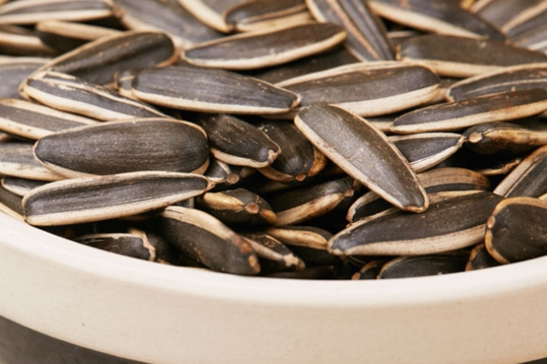 葵花籽為什么空殼 雨水頻繁導致 葵花籽為什么空殼 雨水頻繁導致