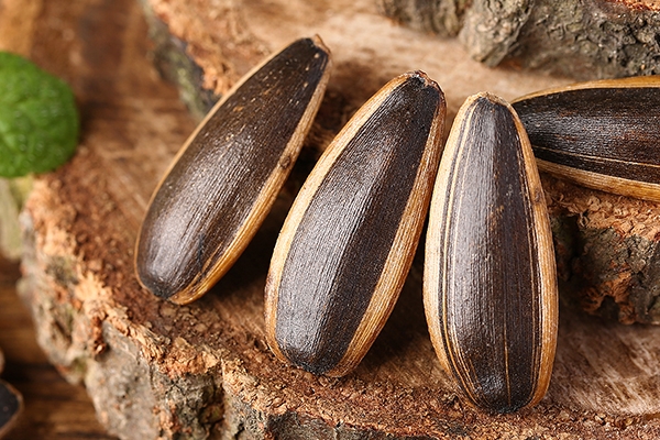 葵花籽有什么副作用 原來竟有這么多 葵花籽有什么副作用 原來竟有這么多