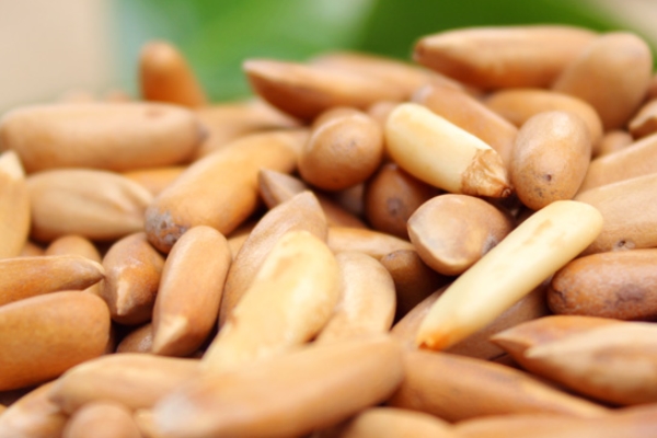 松子為什么有兩種顏色 因為制作方法不同 松子為什么有兩種顏色 因為制作方法不同