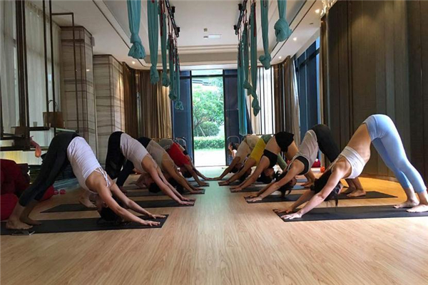 哈他瑜伽適合初學(xué)者嗎 非常簡單 哈他瑜伽適合初學(xué)者嗎 非常簡單